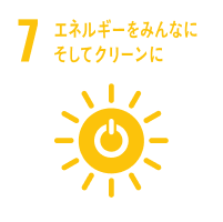SDG Icon 7