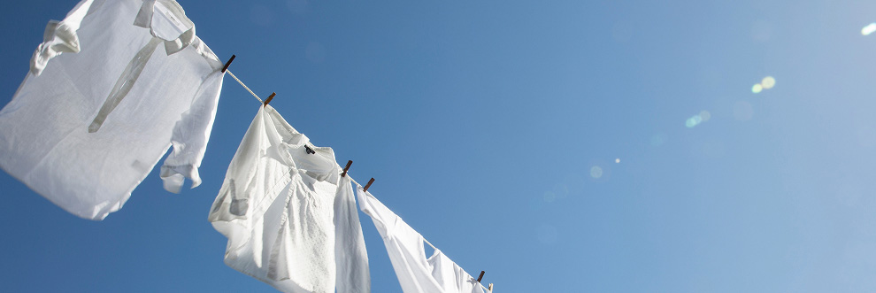 BRINGプロジェクト