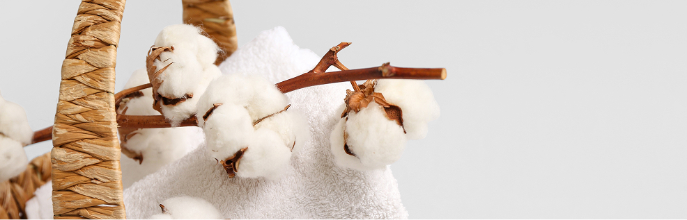 環境配慮型の資源の利用